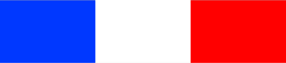 Les Compagnons FR - Drapeau